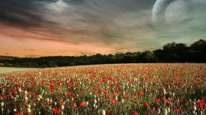 为什么人到中年，很少有身材苗条的？